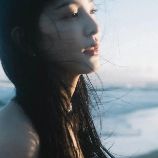 三只流浪狗